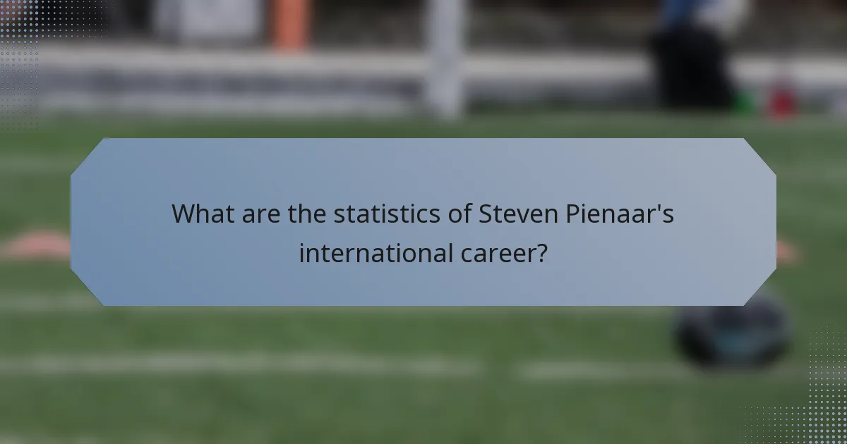 What are the statistics of Steven Pienaar's international career?